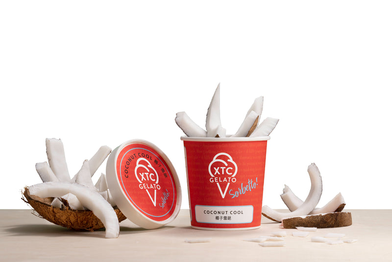 Coconut Cool - XTC Gelato Ice Cream