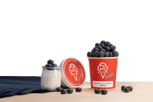 473ml Yoghurt Blueberry